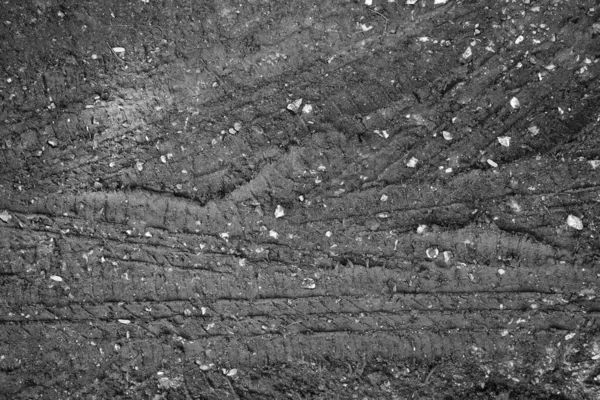 Black White Wheel Tracks Soil Background Texture — Stock Photo, Image