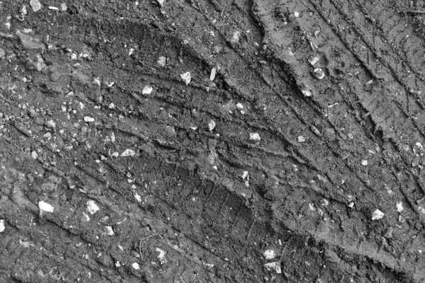 Black White Wheel Tracks Soil Background Texture — Photo