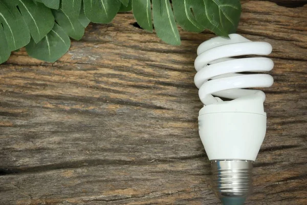 Energy saver light environment technology lamp savings energy