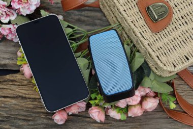Bluetooth hoparlör ve akıllı telefon.
