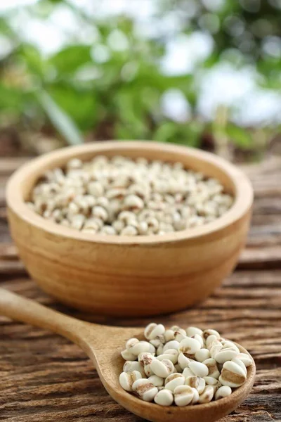 White Millet Seed Raw Wood Bowl Table — Stock Photo, Image