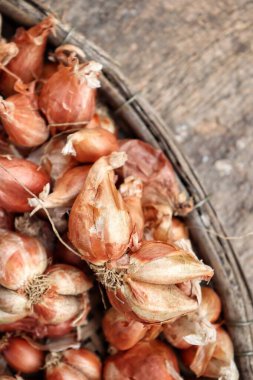 Eski ahşap arka planda veya dokuda kırmızı soğan baharatı