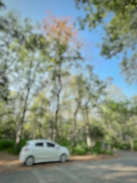 Θολή Από Αυτοκίνητο Και Δέντρο Πράσινα Φύλλα Στο Δάσος — Φωτογραφία Αρχείου