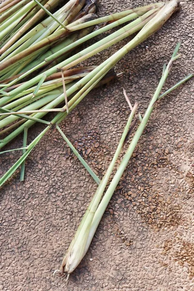 Färsk Grön Citron Gräs Ört Mat Brun Bakgrund — Stockfoto