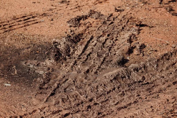 Wielsporen Achtergrond Textuur Van Bodemweg — Stockfoto