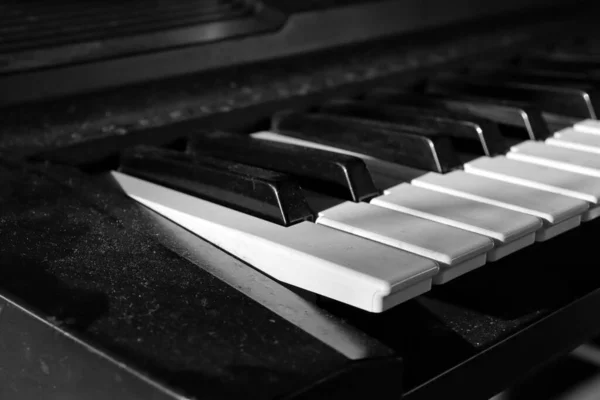 Primer Plano Música Piano Blanco Negro —  Fotos de Stock