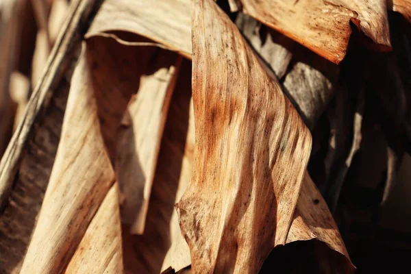 Schöne Von Braunen Getrockneten Blättern Natur Hintergrund Oder Textur — Stockfoto