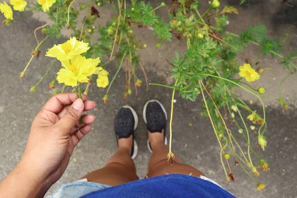 Selfie Belles Fleurs Baskets Cosmos Jaunes Portée Main — Photo