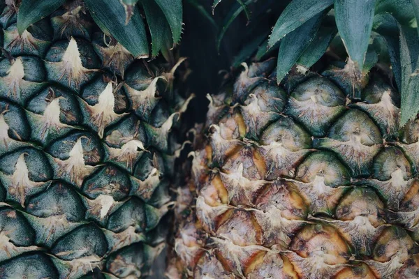 Gros Plan Sur Fond Texture Des Fruits Tropicaux Ananas — Photo