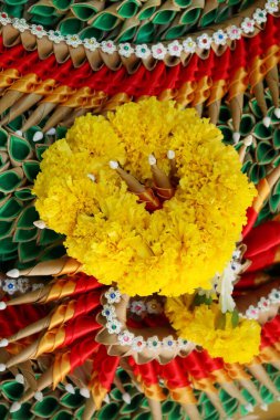 Sarı kadife çiçeğine yakın Hindistan çiçeği