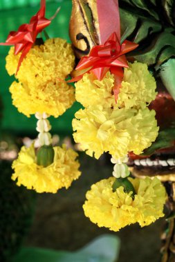 Sarı kadife çiçeğine yakın Hindistan çiçeği