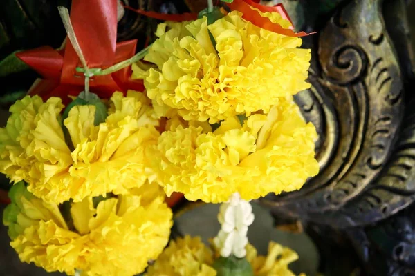 Close Yellow Marigold Spring Flower India Flower — Stock Photo, Image