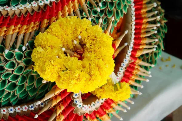 Close Yellow Marigold Spring Flower India Flower — Stock fotografie