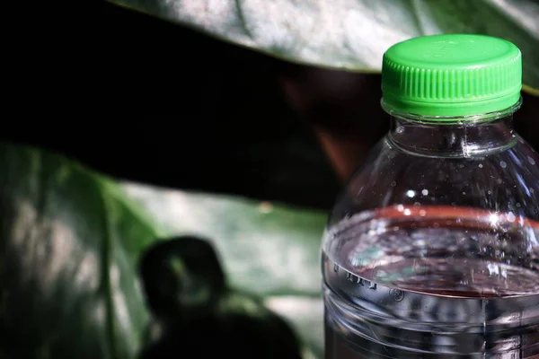 Close Water Drink Bottles Tropical Green Leaves — Stock Photo, Image