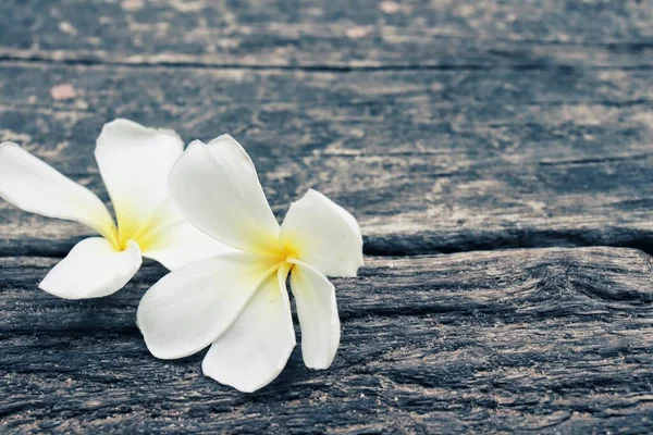 Beautiful White Frangipani Tropical Flowers Green Leaves Wood Background — Fotografia de Stock