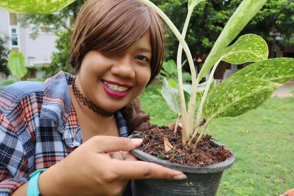 Όμορφη Της Ασίας Γυναίκα Πορτρέτο Ευτυχισμένο Χαμόγελο Φυτευτεί Φυτό Χώμα — Φωτογραφία Αρχείου