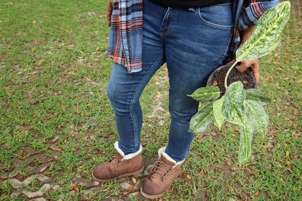 Vrouw Met Geplante Plant Met Aarde Pot — Stockfoto