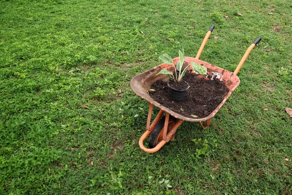 Bahçede Çimen Toprak Olan Bir Araba — Stok fotoğraf