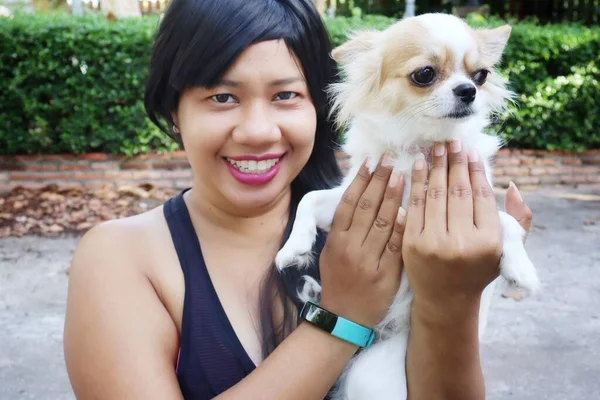 Retrato Ásia Mulher Sorriso Feliz Jogando Branco Marrom Chihuahua Cão — Fotografia de Stock