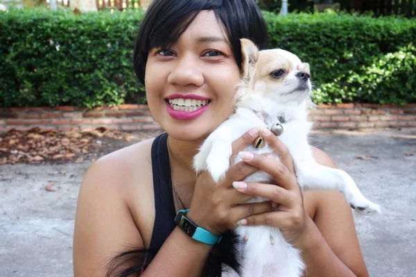 Porträtt Asien Kvinna Glad Leende Spelar Vit Och Brun Chihuahua — Stockfoto