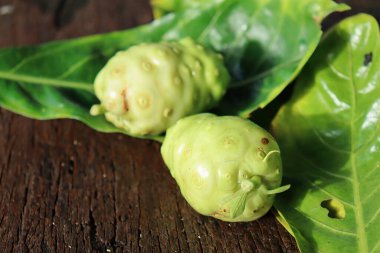 Close up of noni tropical fruit on wood background