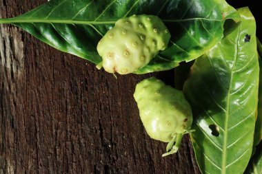 Close up of noni tropical fruit on wood background