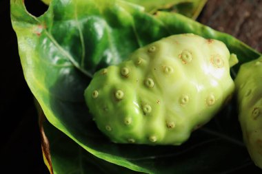 Close up of noni tropical fruit on wood background