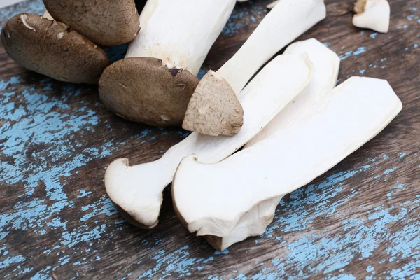 Mushrooms — Stock Photo, Image