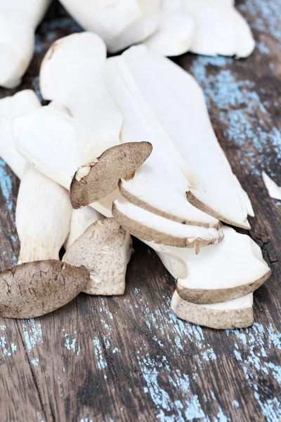 Mushrooms — Stock Photo, Image