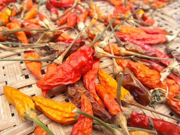 Torkad röd chili. — Stockfoto