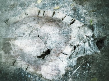 eski tahta arkaplan dokusu