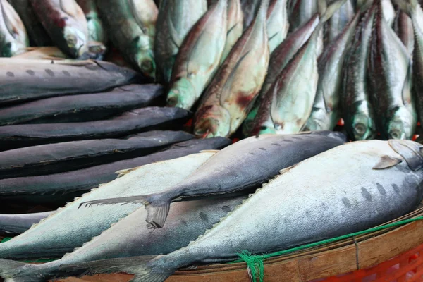 Peixe fresco — Fotografia de Stock