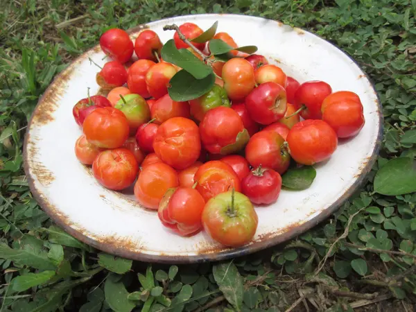 Red berry — Stock Photo, Image