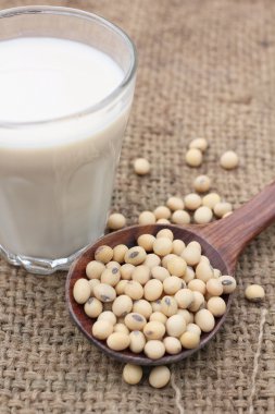 Fasulyeli soya sütü