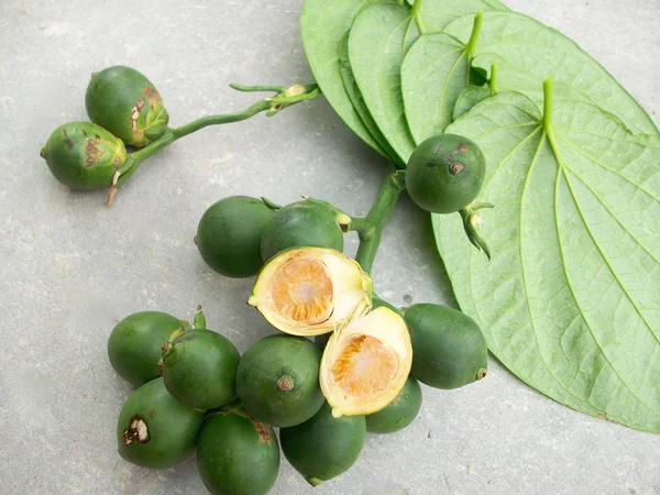 Betel de palma y hoja —  Fotos de Stock