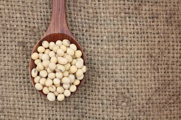 Soy beans — Stock Photo, Image