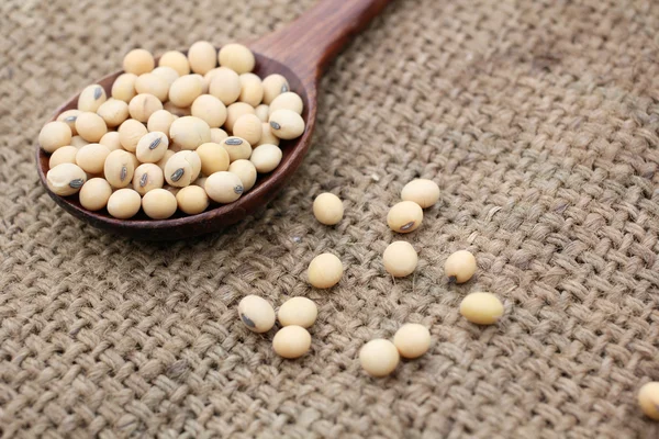 Soy beans — Stock Photo, Image