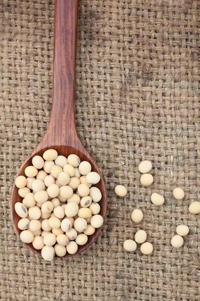 Soy beans — Stock Photo, Image