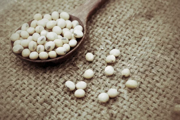 Soy beans — Stock Photo, Image