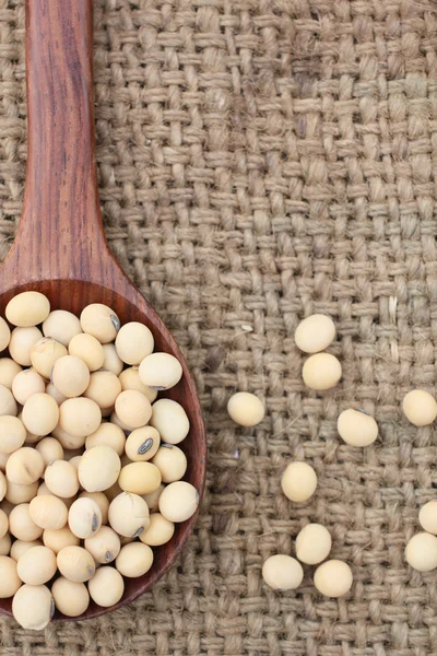 Soy beans — Stock Photo, Image