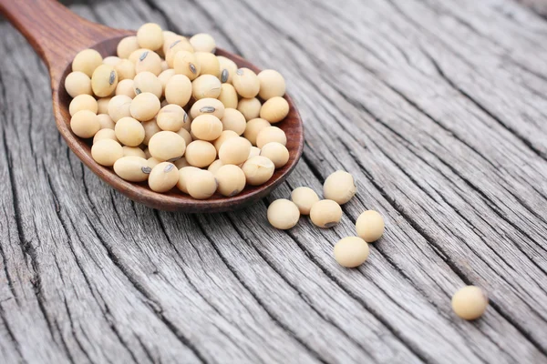 Soy beans — Stock Photo, Image