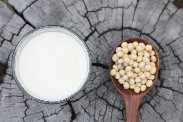 Fasulyeli soya sütü — Stok fotoğraf