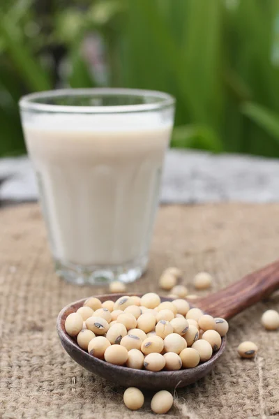 Leche de soja con frijoles — Foto de Stock