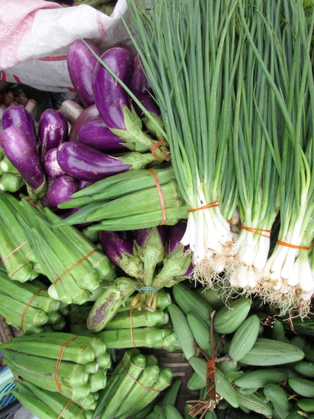 Okra och aubergine — Stockfoto