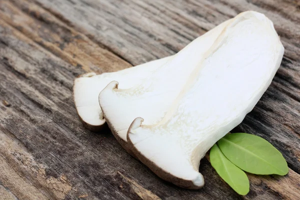 Mushroom — Stock Photo, Image