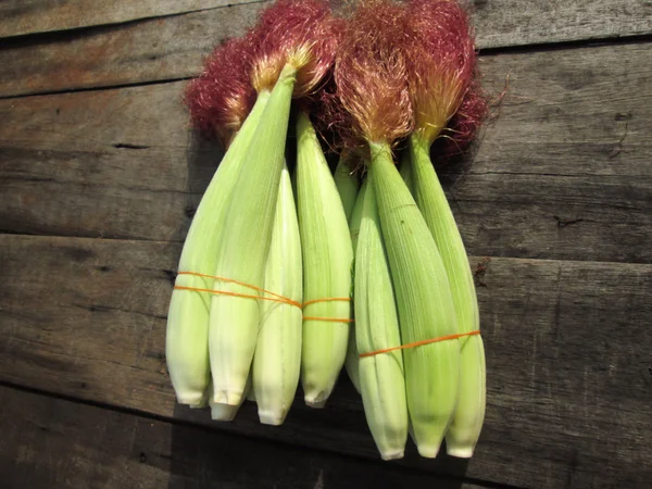 Fresh corn — Stock Photo, Image