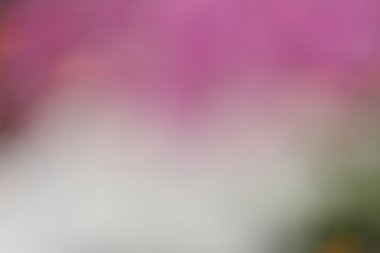 renkli arka plan bulanık