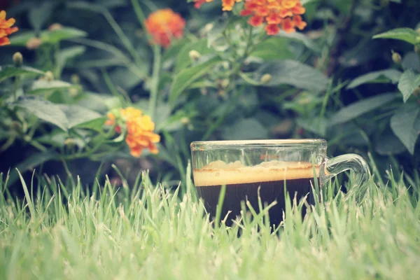 Coffee — Stock Photo, Image