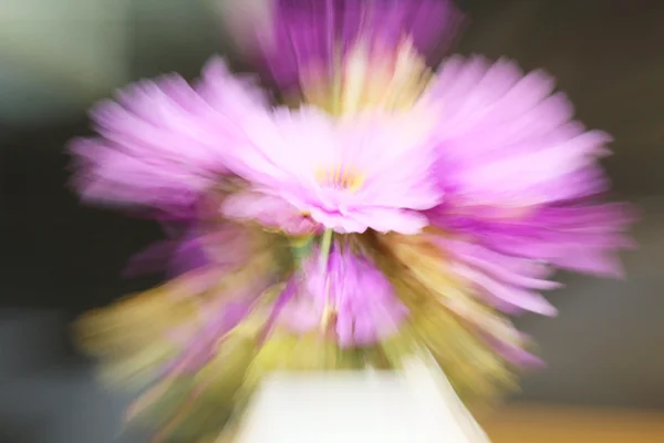 Розмиті фіолетові квіти — стокове фото