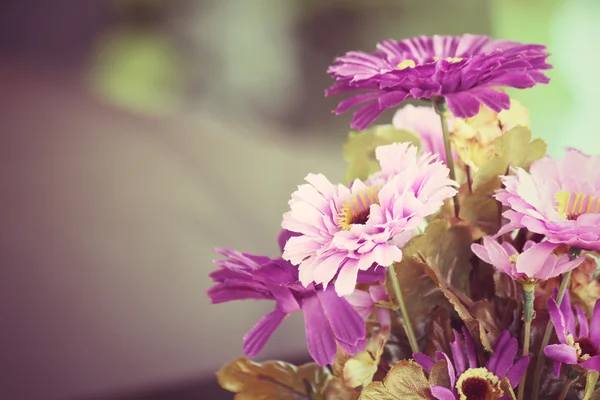 ピンクと紫の花 — ストック写真